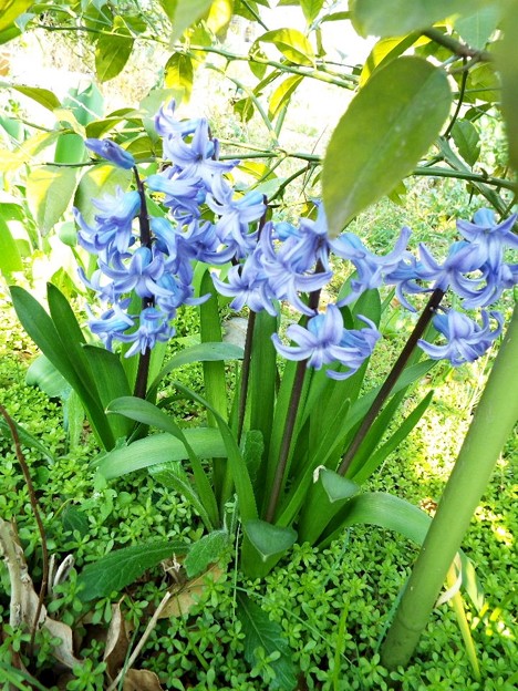 DSCF0209