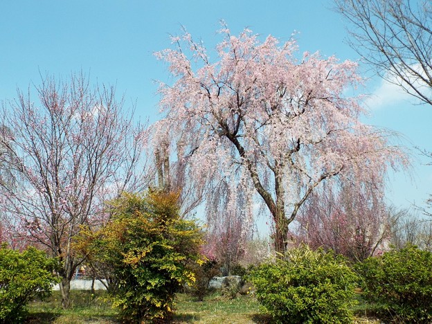 DSCF0156