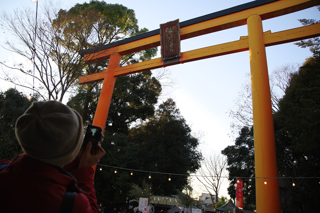 川越氷川神社