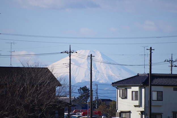 散歩道から見える富士山