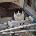 Photos: こんな写真は・・・