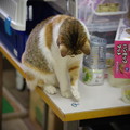 Photos: 遊ぼっと(^^)