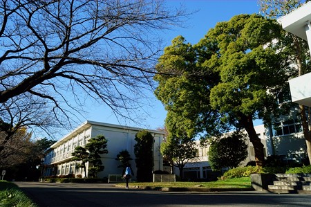 千葉大学 園芸学部