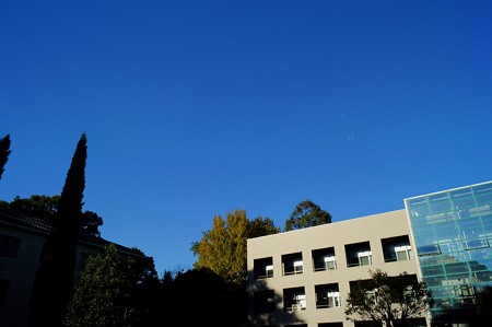 千葉大学 園芸学部