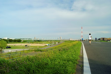 江戸川土手