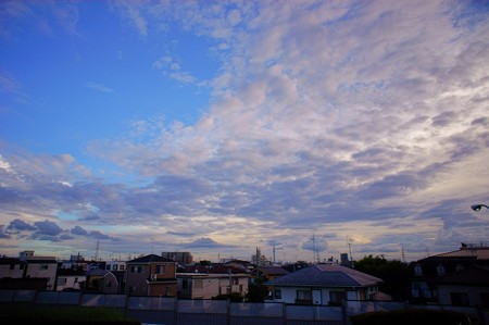 江戸川土手