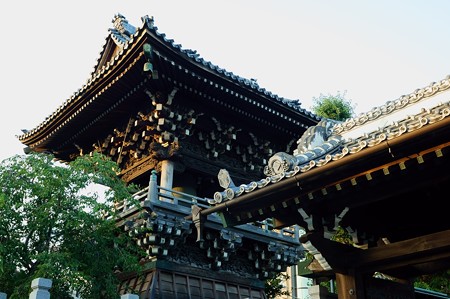 柴又帝釈天