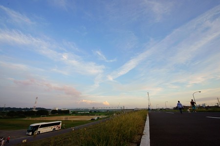 江戸川土手