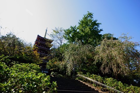 本土寺
