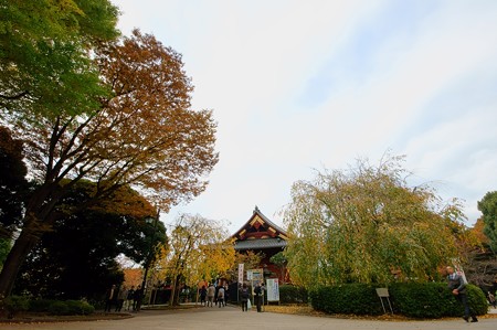 寛永寺 清水観音堂