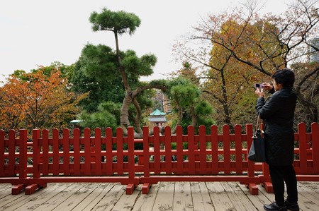 寛永寺 清水観音堂