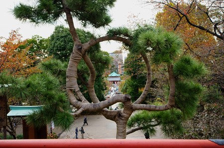 寛永寺 清水観音堂