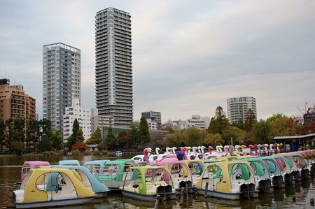 上野不忍池