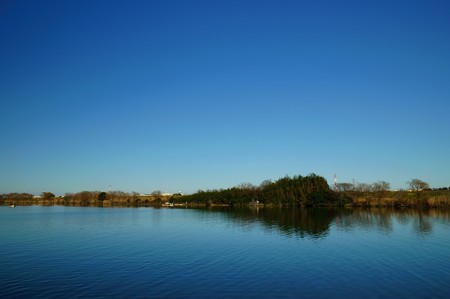 江戸川土手