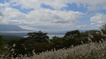 DSC02314