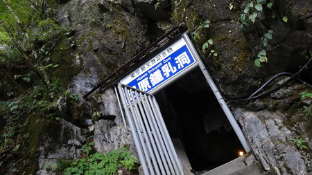 DSC02350
