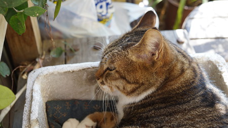 DSC00021