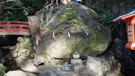 DSC00030