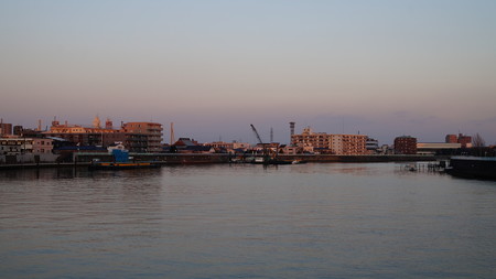 DSC00323