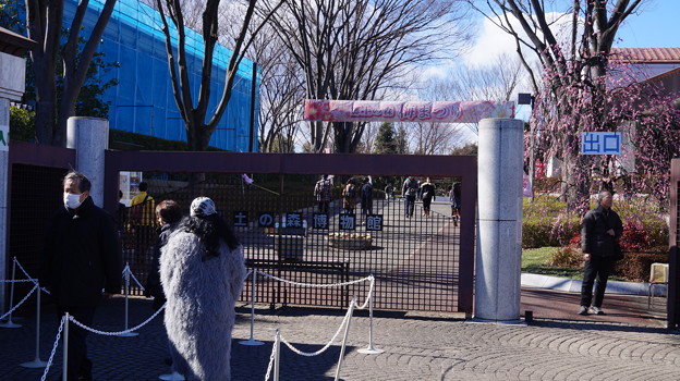 DSC00500_1