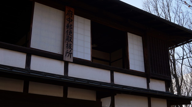 DSC00593
