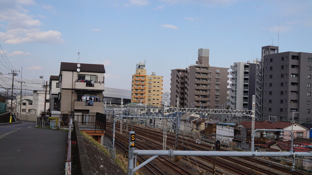 DSC01262