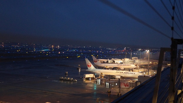 羽田空港1