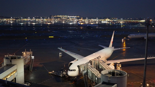 羽田空港2