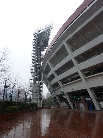 ハマスタ 照明塔塗装工事中