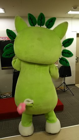 シッポもカワイイ。