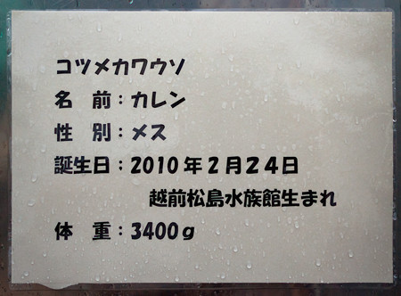 joetsu120707005