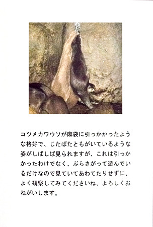 higashiyama110212056
