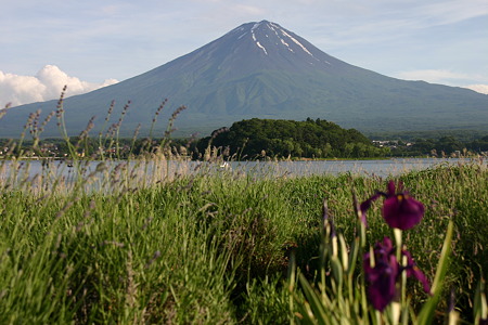 富士山ー2