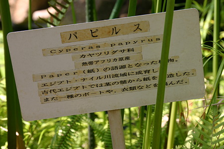 読んでね!