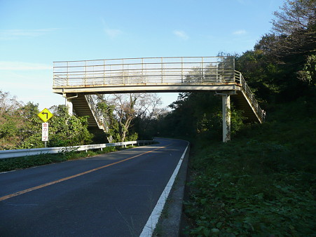 日本平パークウェイの歩道橋