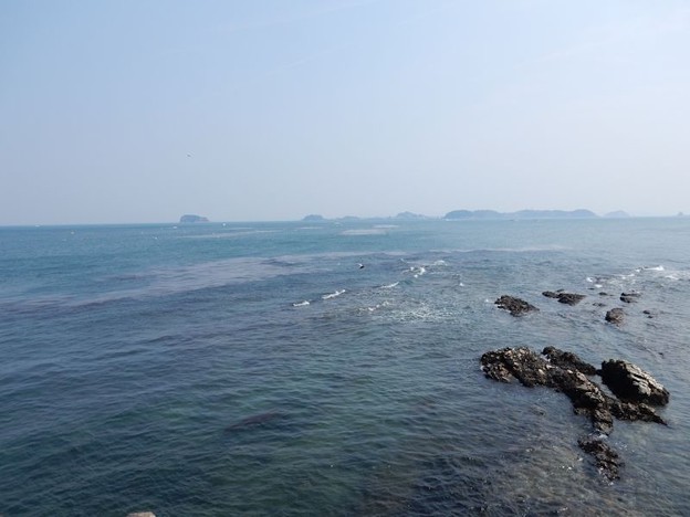 DSCN1409 春海 写真: DSCN1409 春海