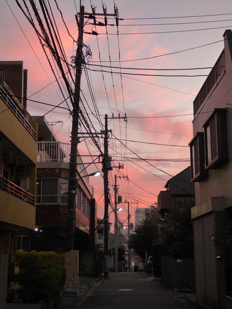 Photos: 10月の夕焼け雲