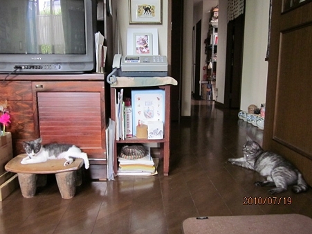 IMG_0427jl-19