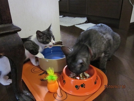 IMG_0277jl-18