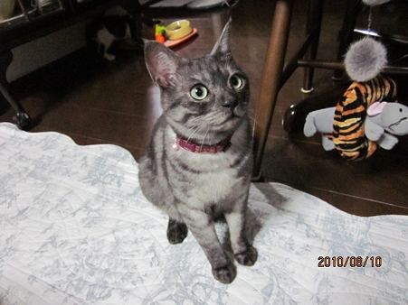 IMG_3267au