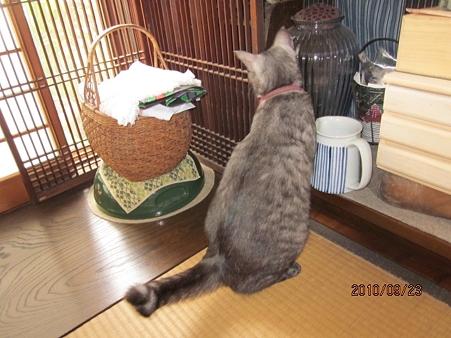 IMG_8642se