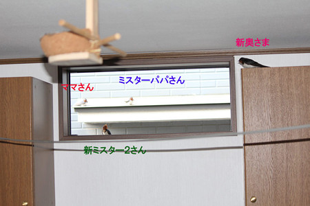 こんな感じ