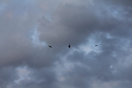 夕方