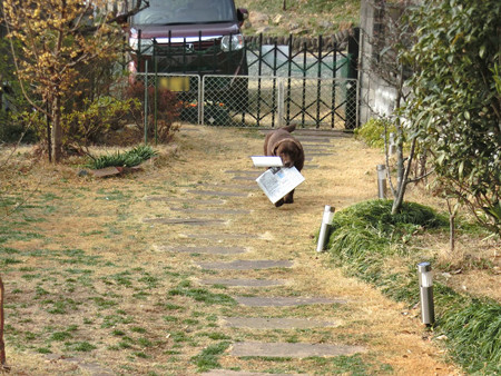 新聞運び