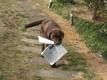 新聞運び