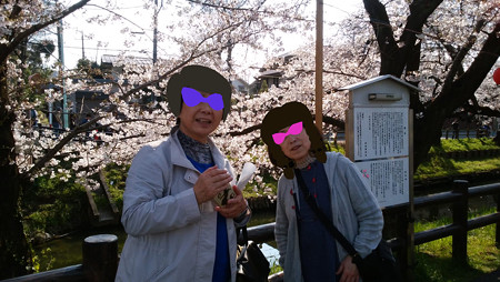 友人とお花見