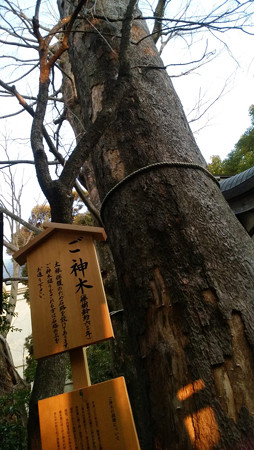 氷川神社