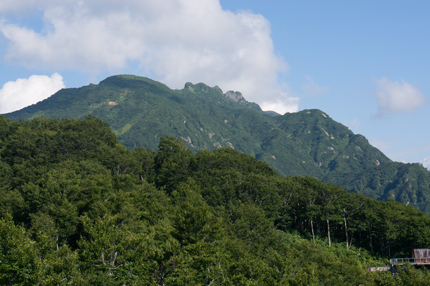 【八海山】3