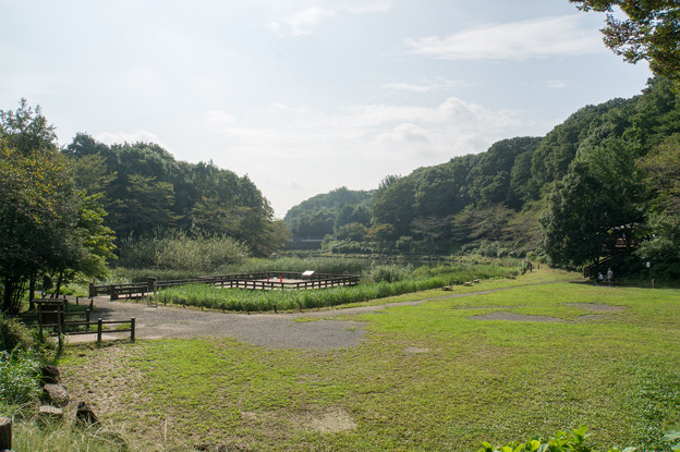 【泉の森(湿性植物園)】