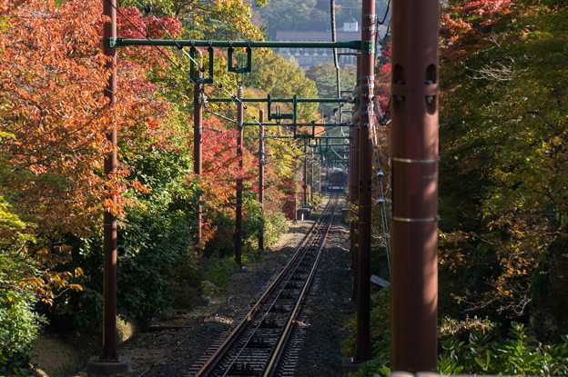 箱根美術館_箱根登山鉄道